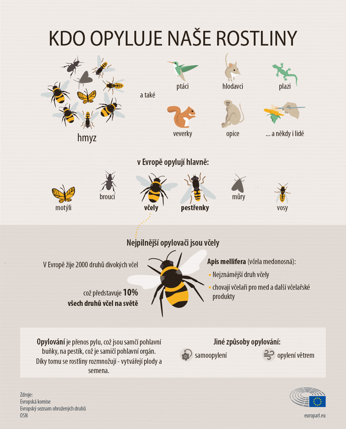 Které rostliny opylují včely?