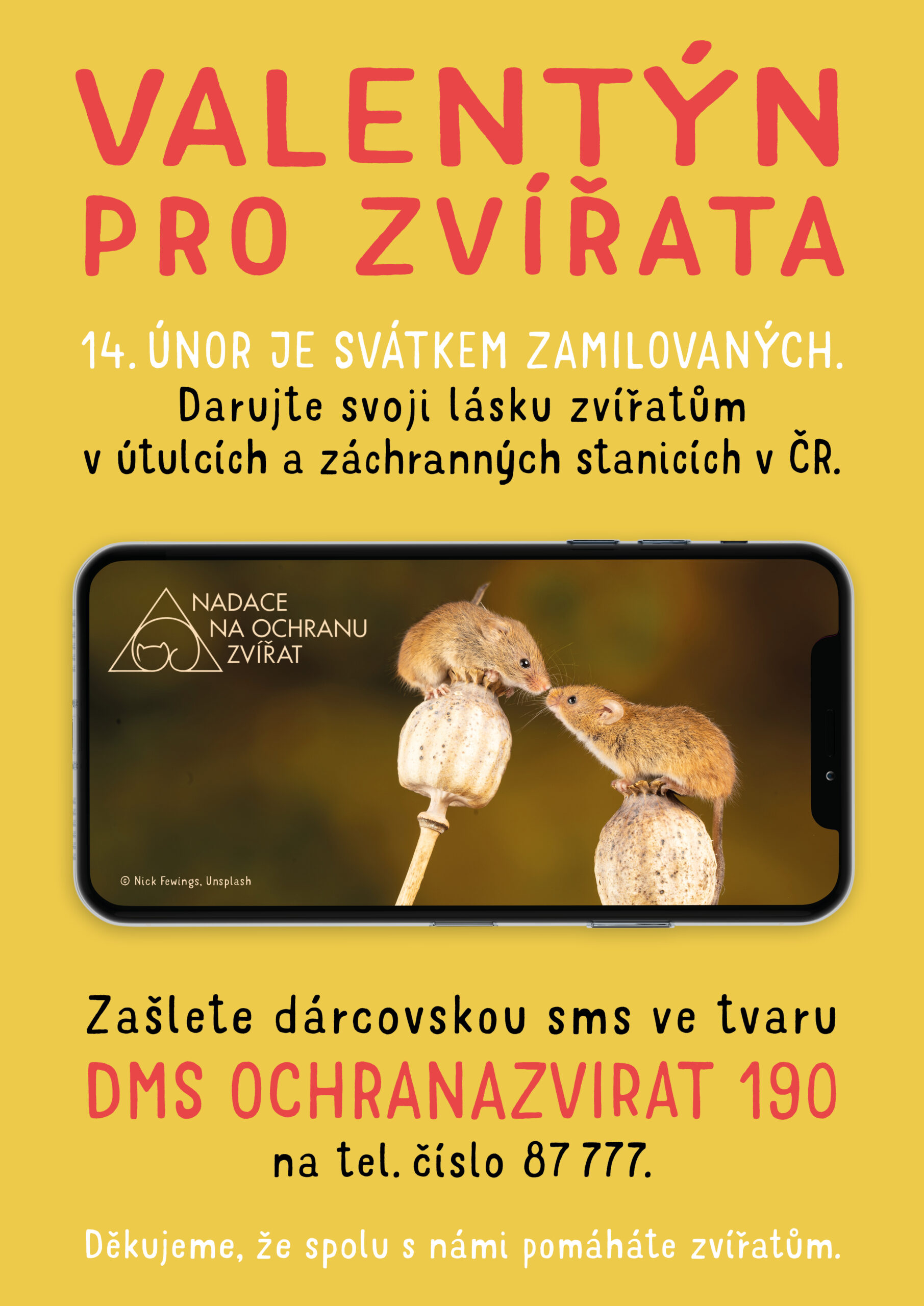Valentýn pro zvířata - myši